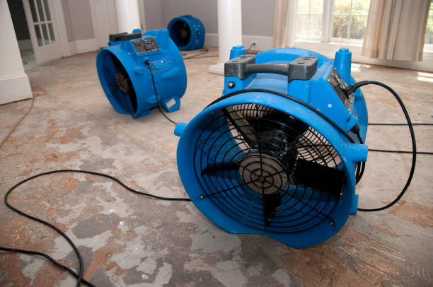  Midway, KY Water damage restoration Pros