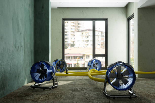Best 24-hour water damage restoration  in Midway, KY